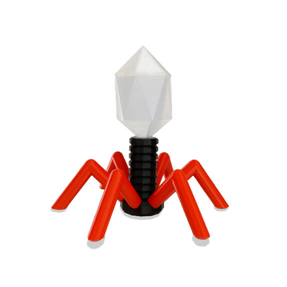 Education_education-05-1024x576