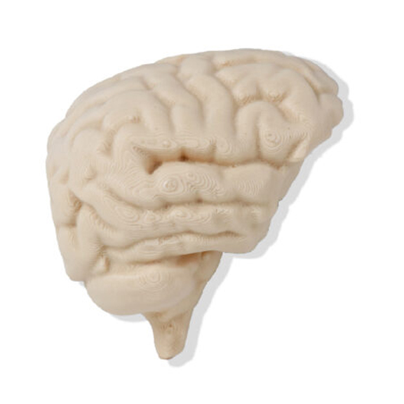 education-04-1024x576